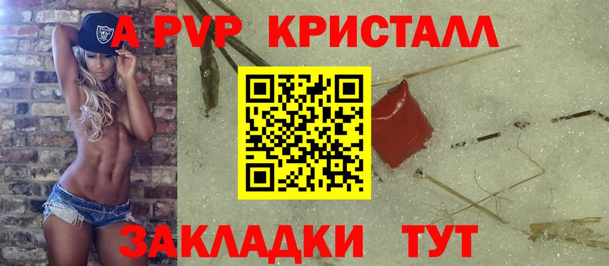 Alfa_PVP СК КРИС Спасск-Дальний