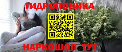 мяу мяу мука Партизанск