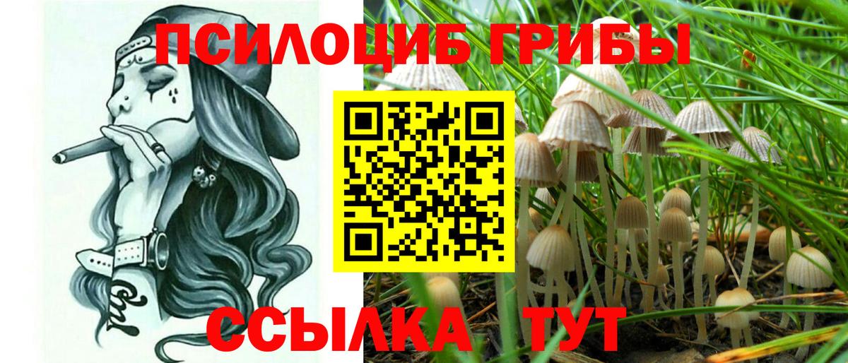 Псилоцибиновые грибы ЛСД Спасск-Дальний